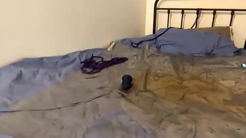 toxic2lust online show from March 2026 06:58:01 PM