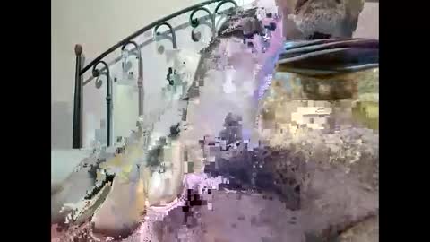 Snapshot of tra649167 chatting on December 2024 09:40:02 PM tra649167 online show from December 2024 09:40:02 PM