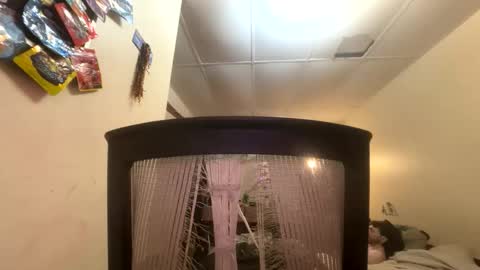 Snapshot of tracy227 chatting on November 2025 10:41:02 PM tracy227 online show from November 2025 10:41:02 PM