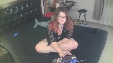 tranicpixiedreamgrl online show from November 2025 02:00:02 AM
