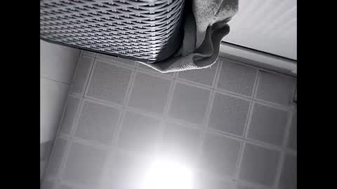 Snapshot of trapper727272 chatting on February 2025 05:43:02 AM Big Head Cock online show from February 2025 05:43:02 AM