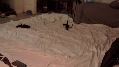 Snapshot of trickquestion chatting on February 2025 08:49:02 AM trickquestion online show from February 2025 08:49:02 AM