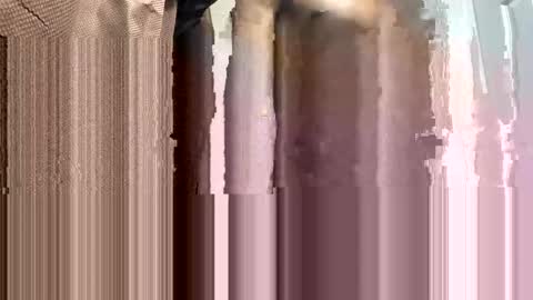 WapBopper online show from February 2025 01:55:02 AM