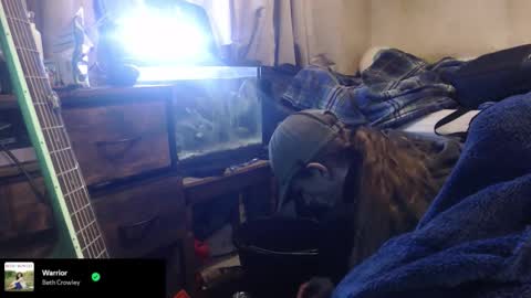 Snapshot of trooper0690 chatting on February 2026 06:14:01 PM trooper0690 online show from February 2026 06:14:01 PM