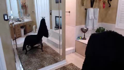 Trophy Wifey  iframe src height528 width850 s online show from February 2026 08:21:01 AM