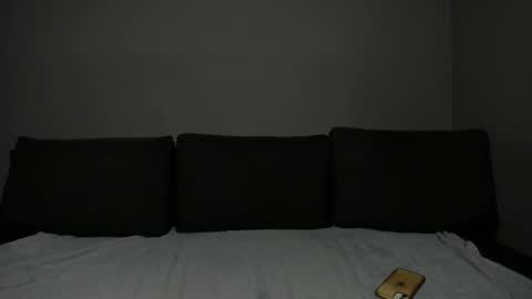 Snapshot of troy_bigtitan chatting on December 2025 06:08:02 AM Troy online show from December 2025 06:08:02 AM