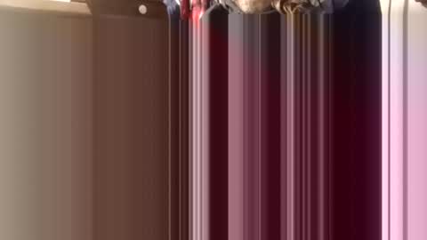 Snapshot of trypodman chatting on December 2024 04:31:01 PM trypodman online show from December 2024 04:31:01 PM