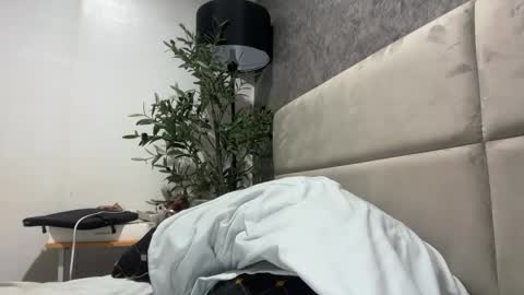 ts_danielahugecock_xxx online show from February 2026 05:17:01 AM