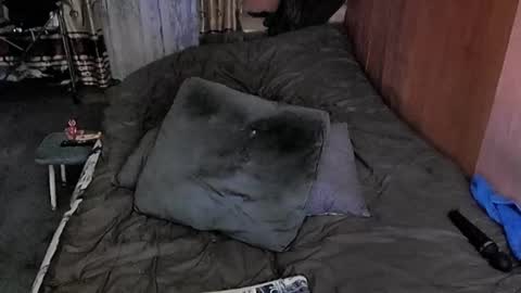 Lana online show from March 2025 10:30:02 AM