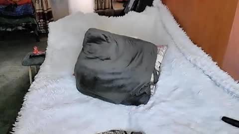 Lana online show from March 2025 01:37:01 AM