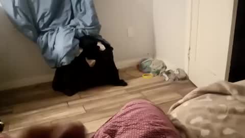 Snapshot of twest84 chatting on September 2025 08:46:02 AM twest84 online show from September 2025 08:46:02 AM