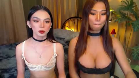 Snapshot of twinktransshanel chatting on October 2025 05:05:01 AM twinktransshanel online show from October 2025 05:05:01 AM