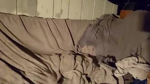 TwistedBlizzy online show from January 2025 06:20:02 PM