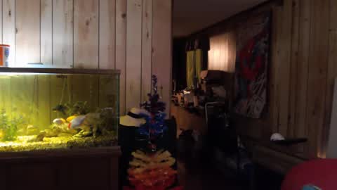 twocumkerry online show from February 2025 08:06:02 AM