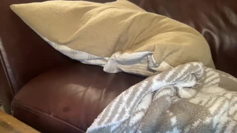 ty223222 online show from February 2025 10:37:02 AM