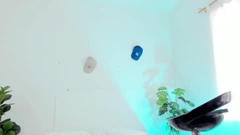 Tyler online show from February 2025 06:20:01 PM