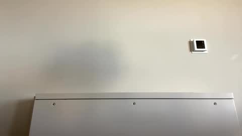 Snapshot of tylercameron28 chatting on September 2025 06:09:02 PM TylerC online show from September 2025 06:09:02 PM