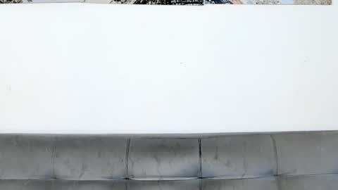 Dvid Rullers online show from January 2026 01:19:01 AM