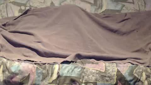 Helena and Tyson online show from October 2025 04:56:02 AM