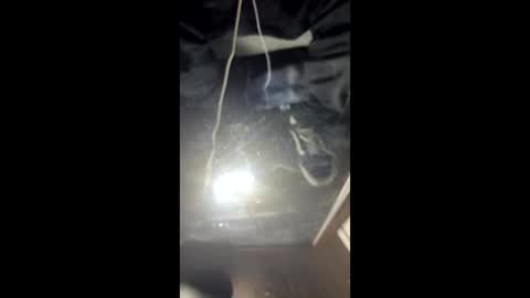 Snapshot of unexspct20qmthrbck chatting on March 2026 10:21:01 AM Astic BW online show from March 2026 10:21:01 AM