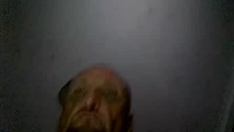 uplatenhorny2379 online show from December 2025 01:51:01 PM