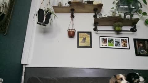 MYMY online show from February 2026 03:43:01 AM