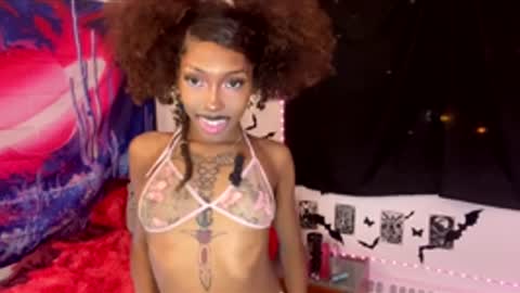 Dolly online show from January 2026 05:01:01 AM