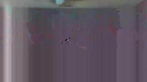 urls2025 online show from November 2025 04:34:01 AM