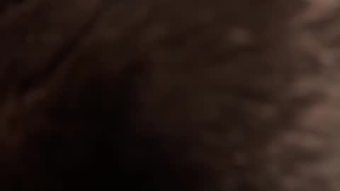 urmissalice online show from February 2026 03:21:01 PM