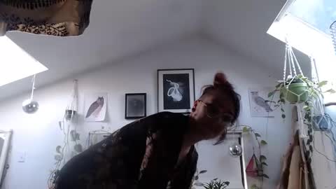 Ursinae online show from February 2025 11:31:01 PM