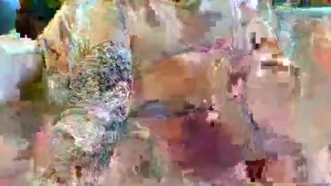 urukai79 online show from February 2026 12:45:02 PM