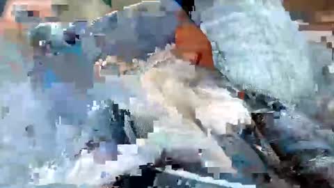 usabound online show from October 2025 12:39:01 PM