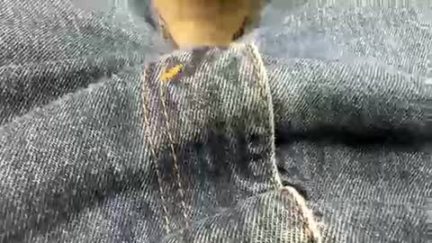 usabound online show from July 2026 09:39:02 PM
