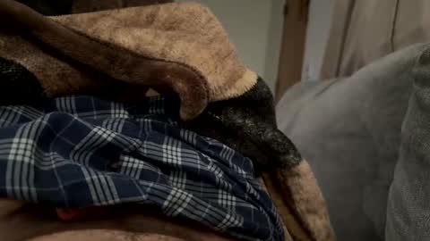 Slave bitch online show from March 2026 06:07:02 AM