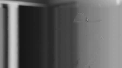 steve online show from December 2025 10:57:01 AM