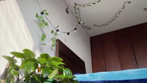 Snapshot of valent1nn chatting on March 2025 12:39:02 PM Valentin independent Cam Boy online show from March 2025 12:39:02 PM