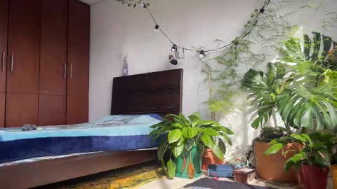   Valentin  independent Cam Boy     online show from February 2026 01:47:01 PM