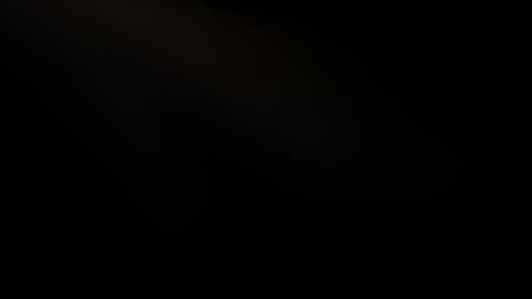 Snapshot of valloletsamar chatting on February 2025 11:11:02 AM Vallolet Peach online show from February 2025 11:11:02 AM