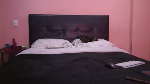 Vamp Noah and Dan online show from February 2026 01:49:01 PM