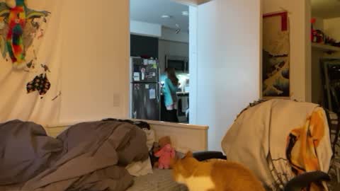 Snapshot of vanessapark chatting on January 2025 03:07:01 PM Vanessa online show from January 2025 03:07:01 PM