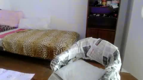 Catalina INSTA FOLLOW  online show from March 2026 10:41:01 AM