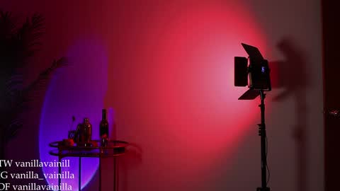 Snapshot of vanilla_velvet chatting on December 2024 12:22:01 AM Annabet online show from December 2024 12:22:01 AM