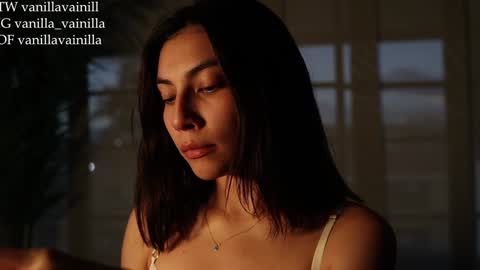 Snapshot of vanilla_velvet chatting on January 2025 11:02:01 PM Annabet online show from January 2025 11:02:01 PM