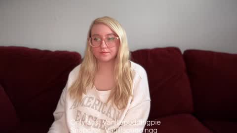 Snapshot of vanillapuddingpie chatting on December 2024 07:49:01 PM vanillapuddingpie online show from December 2024 07:49:01 PM