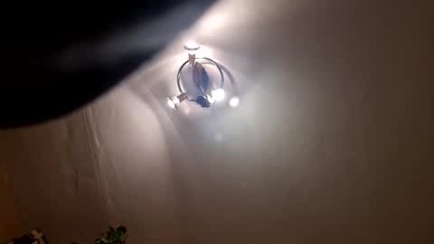 vedierko3 online show from December 2024 02:08:01 AM