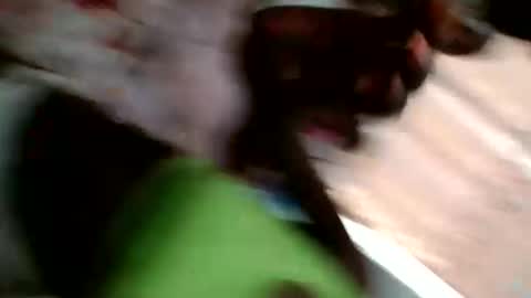 faisar online show from December 2025 08:43:01 AM