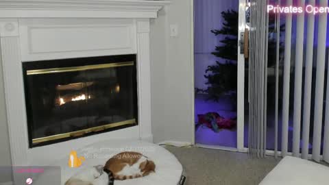 vegas_romance online show from February 2025 08:49:01 AM