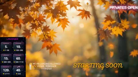 vegas_romance online show from November 2025 11:25:02 PM