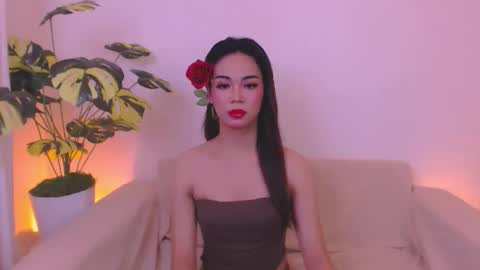 Snapshot of velvet_seductionprincess chatting on May 2026 02:41:02 AM Velvet online show from May 2026 02:41:02 AM