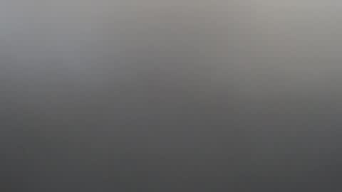 velvetteasexx online show from February 2026 01:26:01 AM